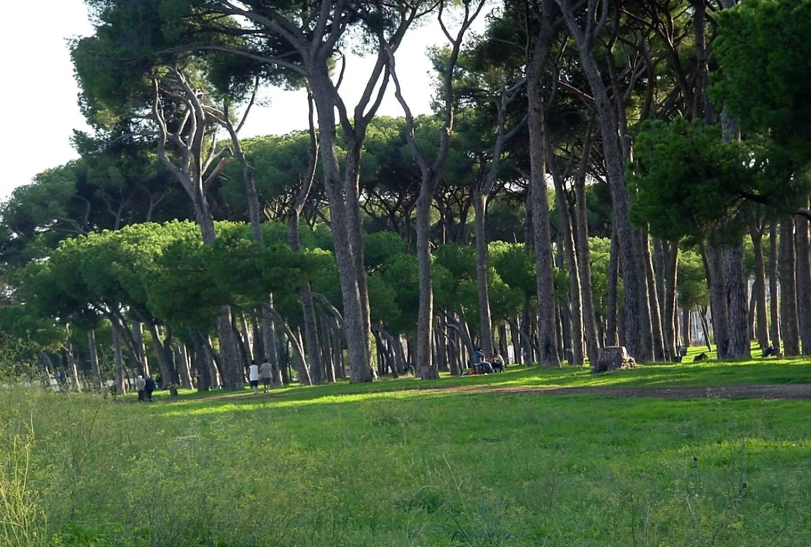 Nearpineta Apartment Rome