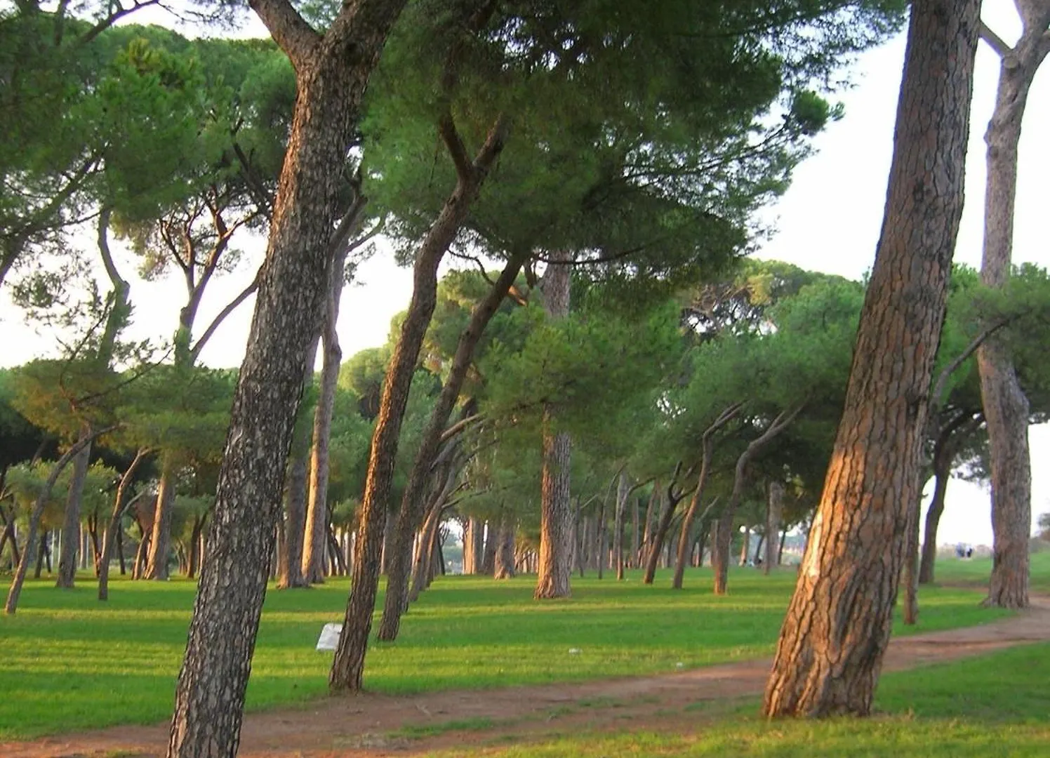 Nearpineta Apartment Rome